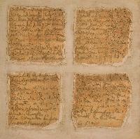 img/Lettere dell'Anima - 2/Terreno 1.jpg